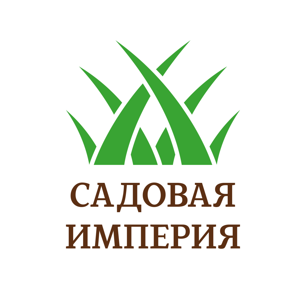 Logo_Монтажная область 1.png