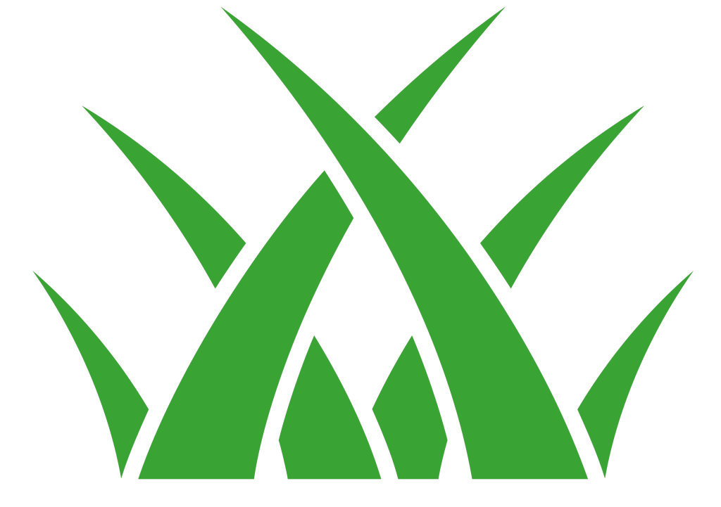 Logo_Монтажная область 1